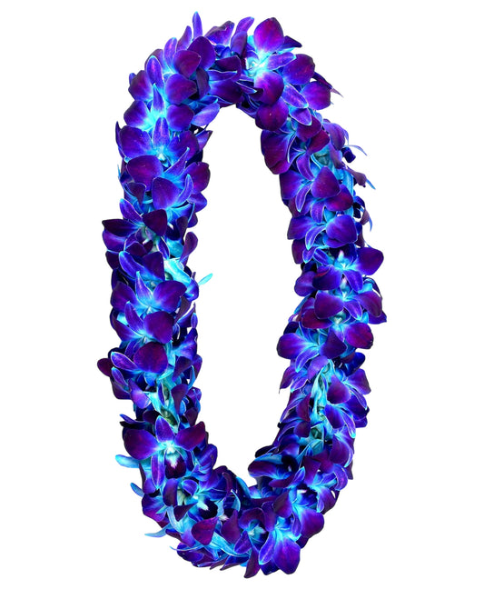 PREBOOK - Blue Sonia D-LEI ( DOUBLE LEI ) Dendrobium Orchid Fresh Flowers