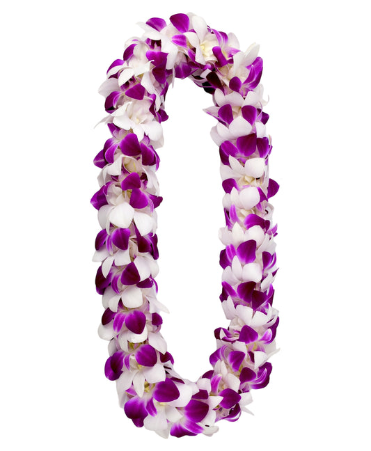 PREBOOK - Purple SONIA+WHITE D-LEI ( DOUBLE LEI ) Dendrobium Orchid Fresh Flowers