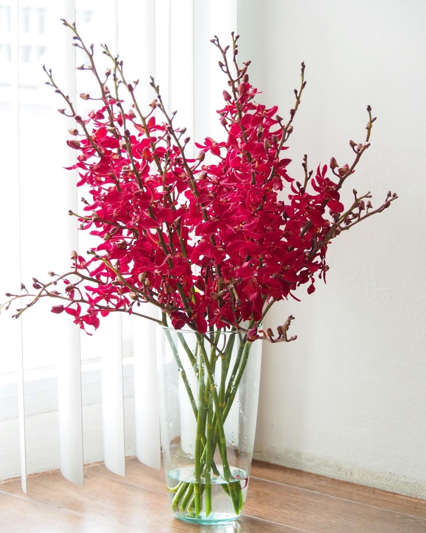 PREBOOK - 5 Stems Fresh Cut Aranthera FIRE Orchid Bouquet