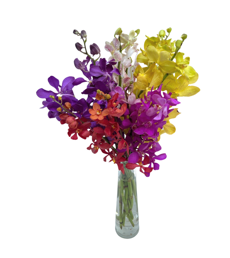 Prebook Exotic Bouquet Fresh Cut MOKARA Orchid Seasonal Farm's Choice