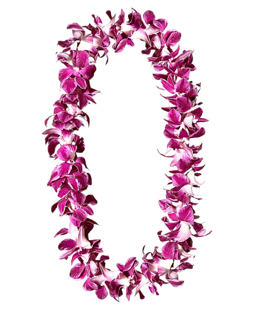 PREBOOK - QUEEN BUTTERFLY S-LEI ( SINGLE LEI ) Dendrobium Orchid Fresh Cut Flowers