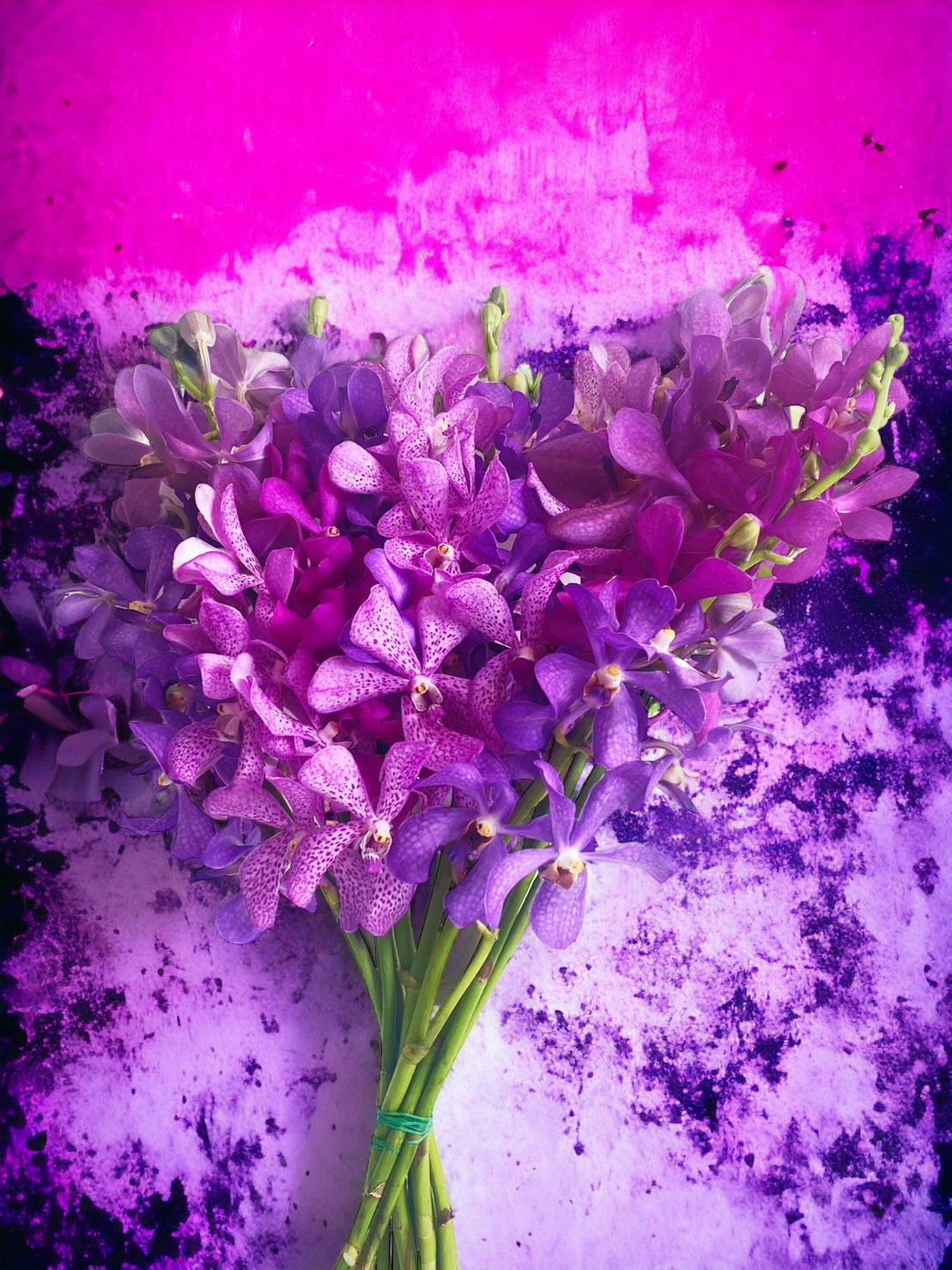 Prebook Purple Bouquet Fresh Cut MOKARA Orchid Seasonal Farm's Choice