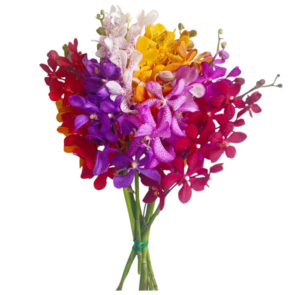 Prebook Exotic Bouquet Fresh Cut MOKARA Orchid Seasonal Farm's Choice