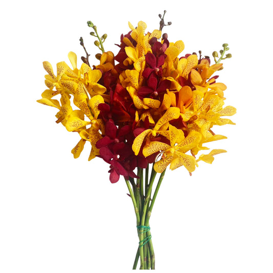 Prebook Sunrise Bouquet Fresh Cut MOKARA Orchid Seasonal Farm's Choice