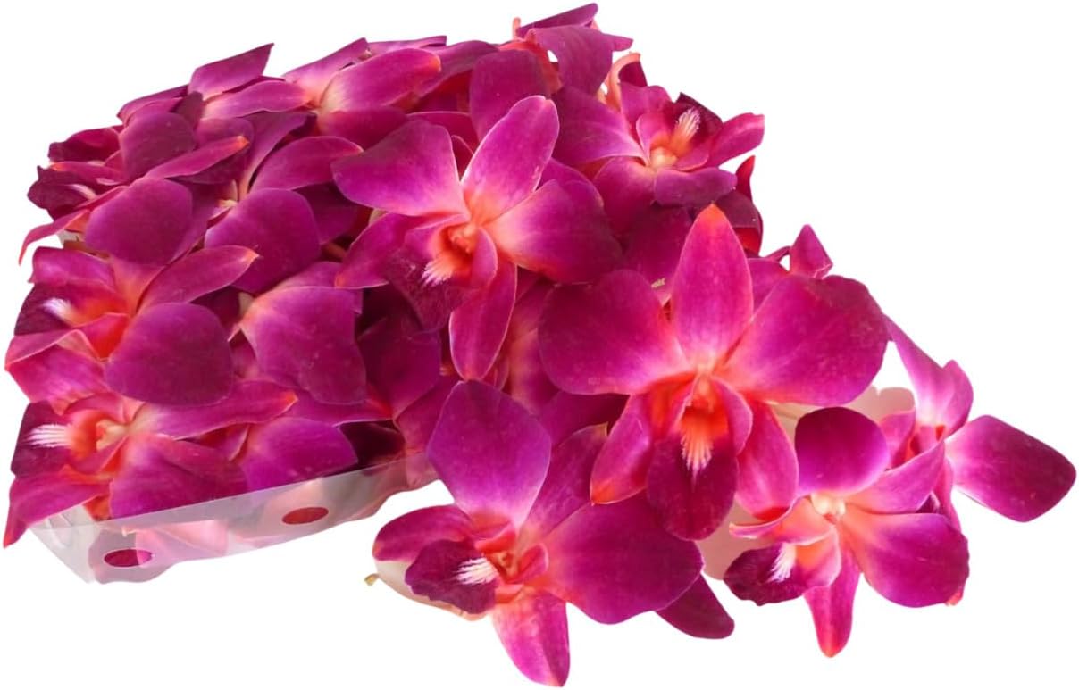 Prebook 100 DUO RED Dyed Fresh Cut Dendrobium Orchid Loose Bloom