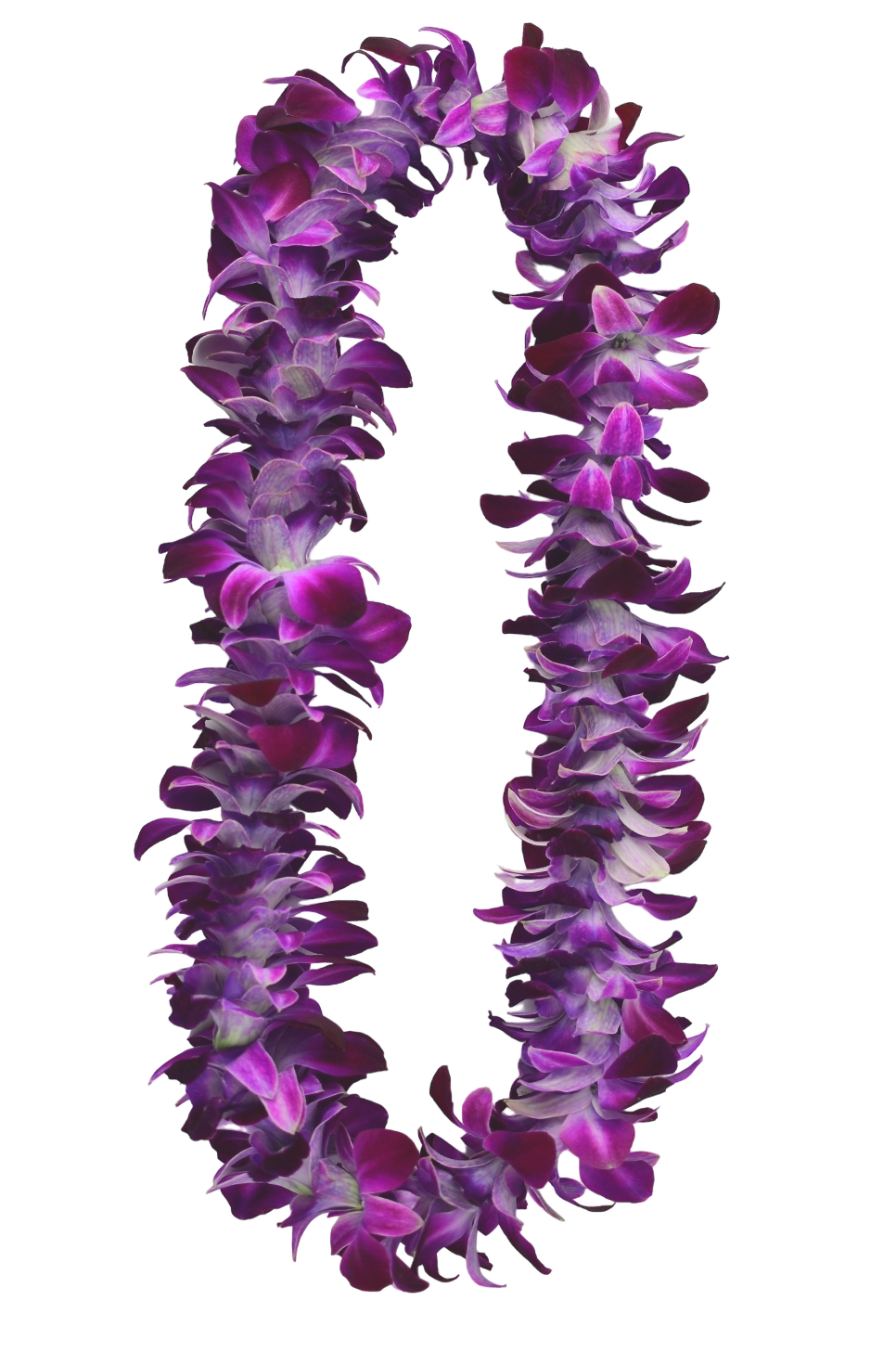 PREBOOK - LAVENDER PURPLE SONIA S-LEI ( SINGLE LEI ) Dendrobium Orchid Fresh Cut Flowers