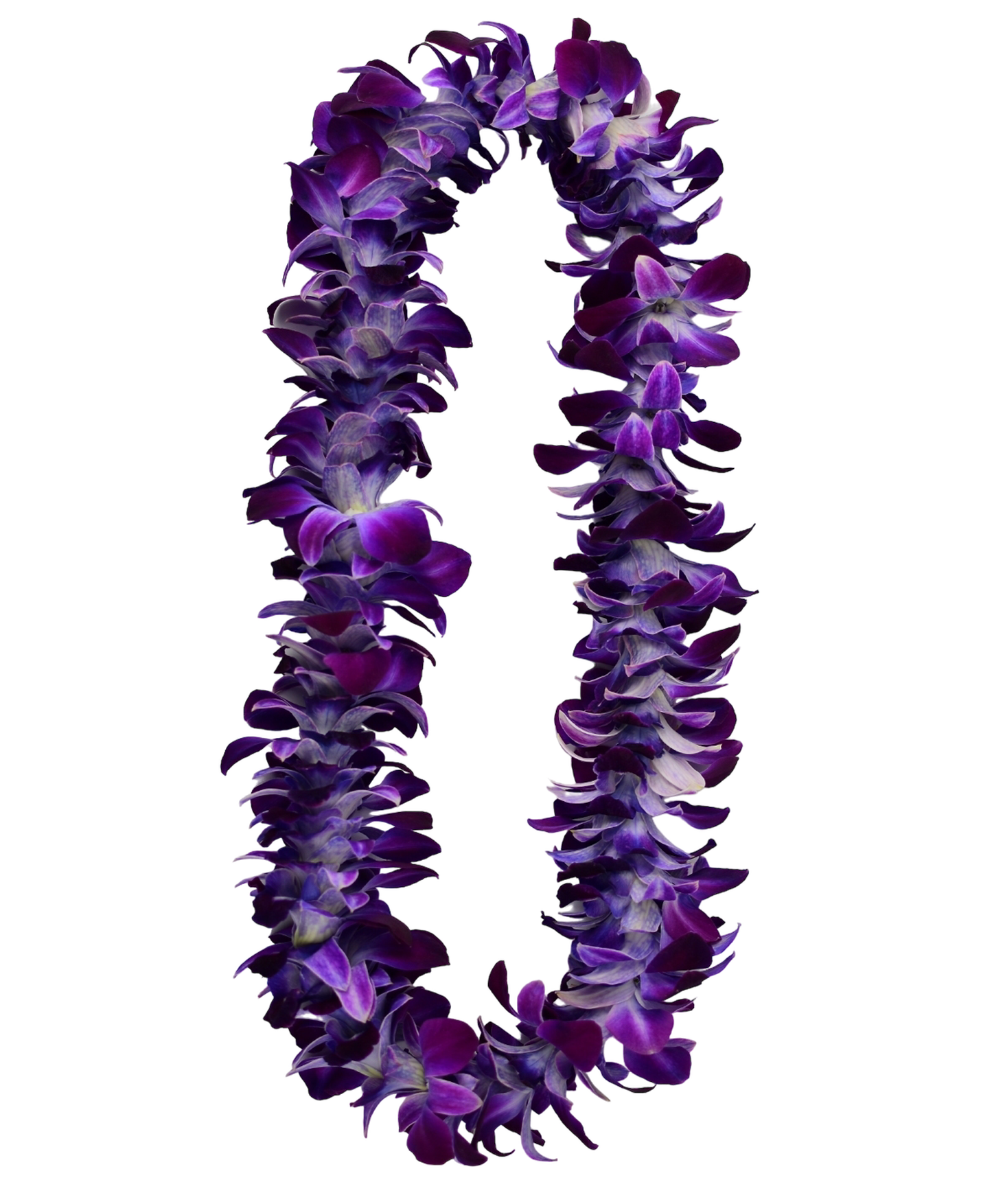 PREBOOK - LAVENDER PURPLE SONIA S-LEI ( SINGLE LEI ) Dendrobium Orchid Fresh Cut Flowers