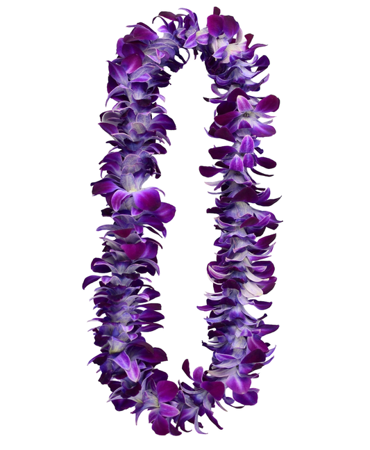 PREBOOK - LAVENDER PURPLE SONIA S-LEI ( SINGLE LEI ) Dendrobium Orchid Fresh Cut Flowers