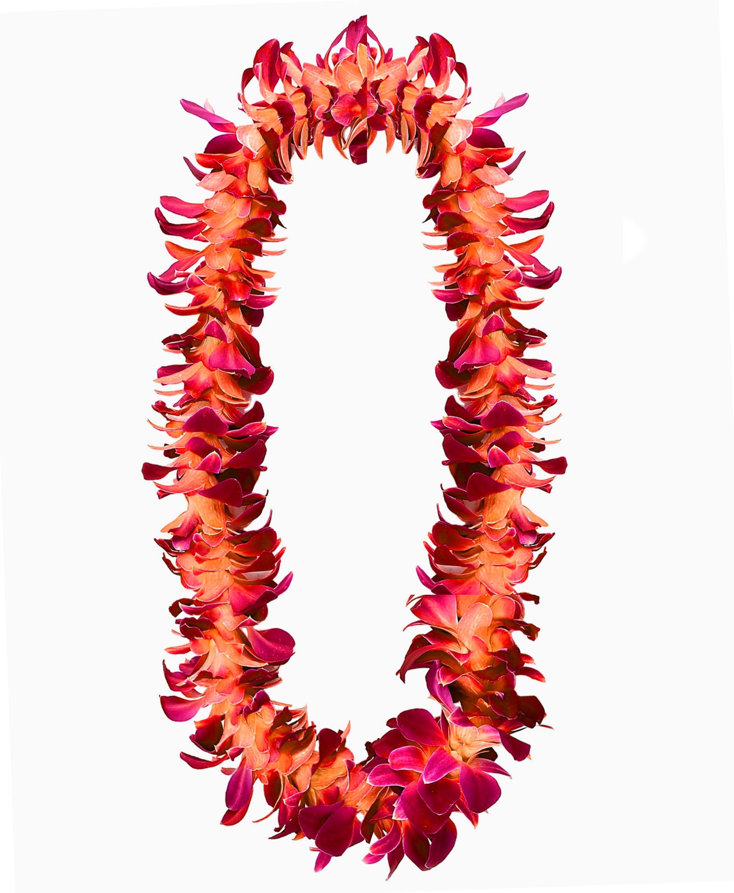 PREBOOK - ORANGE SONIA S-LEI ( SINGLE LEI ) Dendrobium Orchid Fresh Cut Flowers