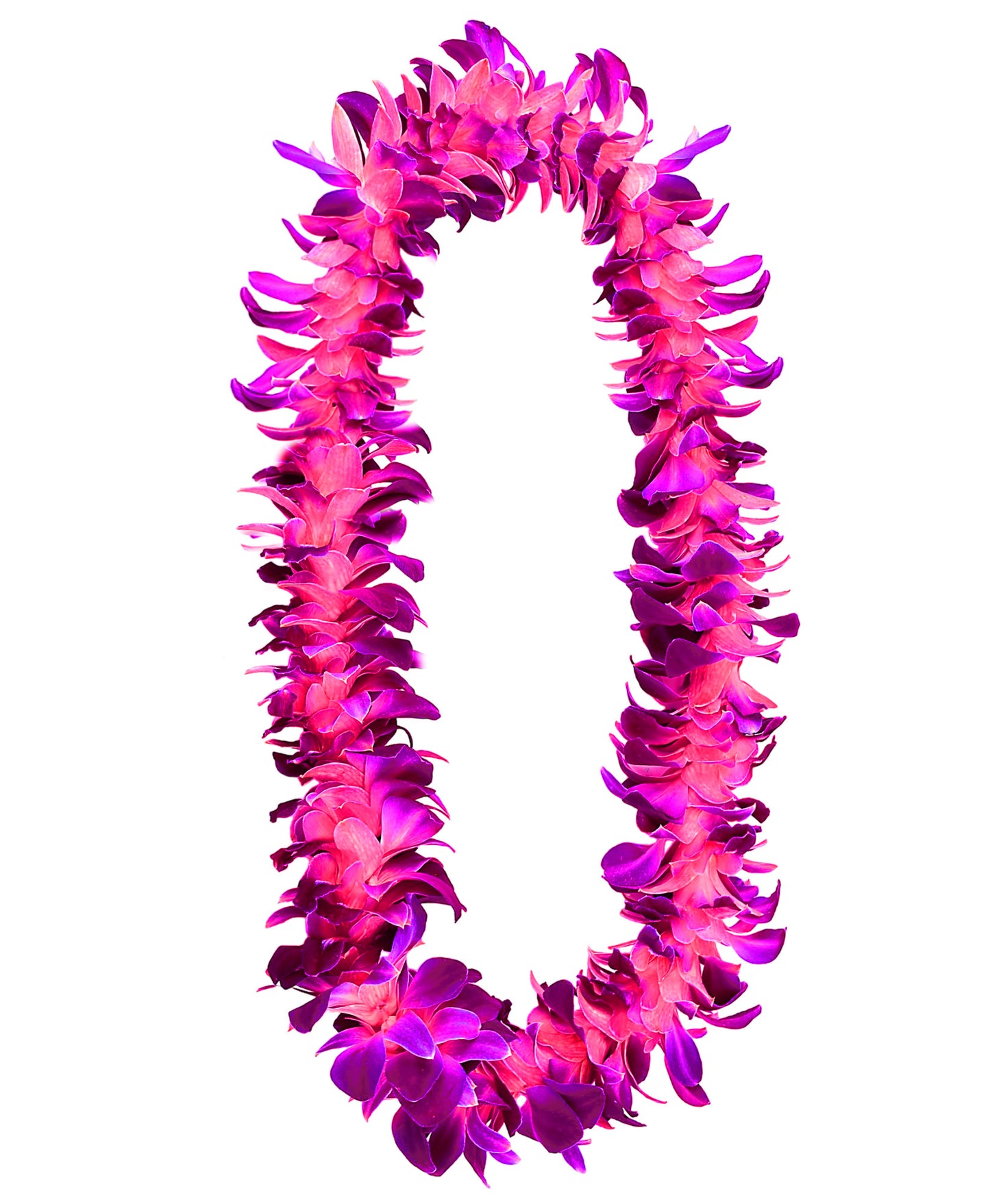 PREBOOK - PINK SONIA S-LEI ( SINGLE LEI ) Dendrobium Orchid Fresh Cut Flowers