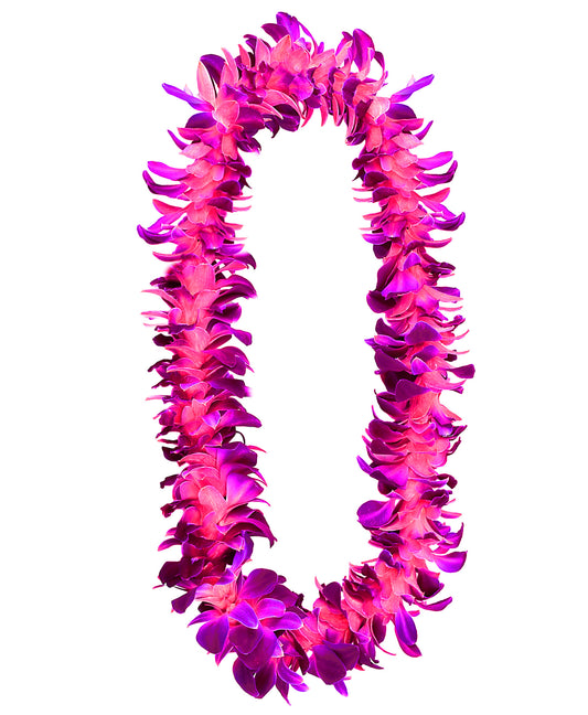 PREBOOK - PINK SONIA S-LEI ( SINGLE LEI ) Dendrobium Orchid Fresh Cut Flowers