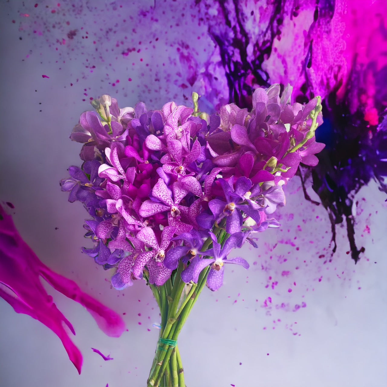 Prebook Purple Bouquet Fresh Cut MOKARA Orchid Seasonal Farm's Choice