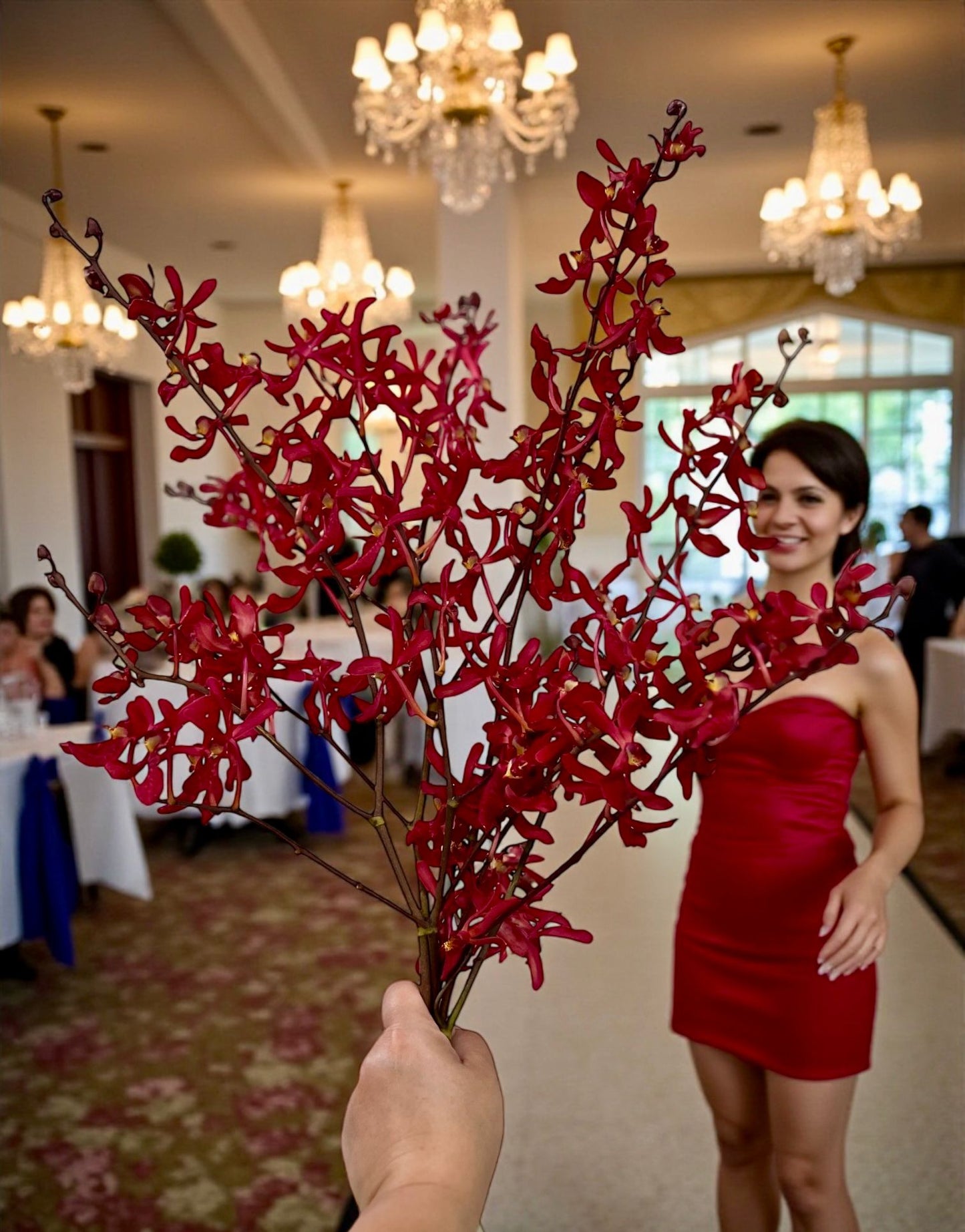 PREBOOK - 5 Stems Fresh Cut Aranthera FIRE Orchid Bouquet