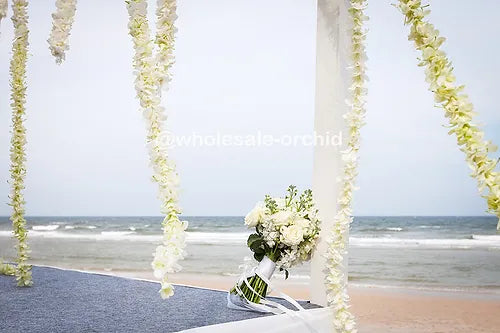 PREBOOK BILK - White Single Orchid Strand Flower String Dendrobium Fresh Cut Flowers