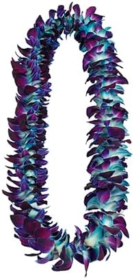 IN STOCK - 50BLUE 50PURPLE COMBO Fresh Cut Dendrobium Orchid Loose Bloom