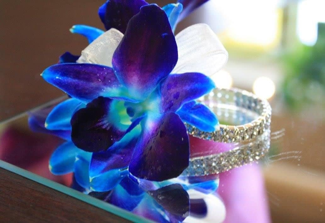 Prebook 100 DUO BLUE Dyed Fresh Cut Dendrobium Orchid Loose Bloom