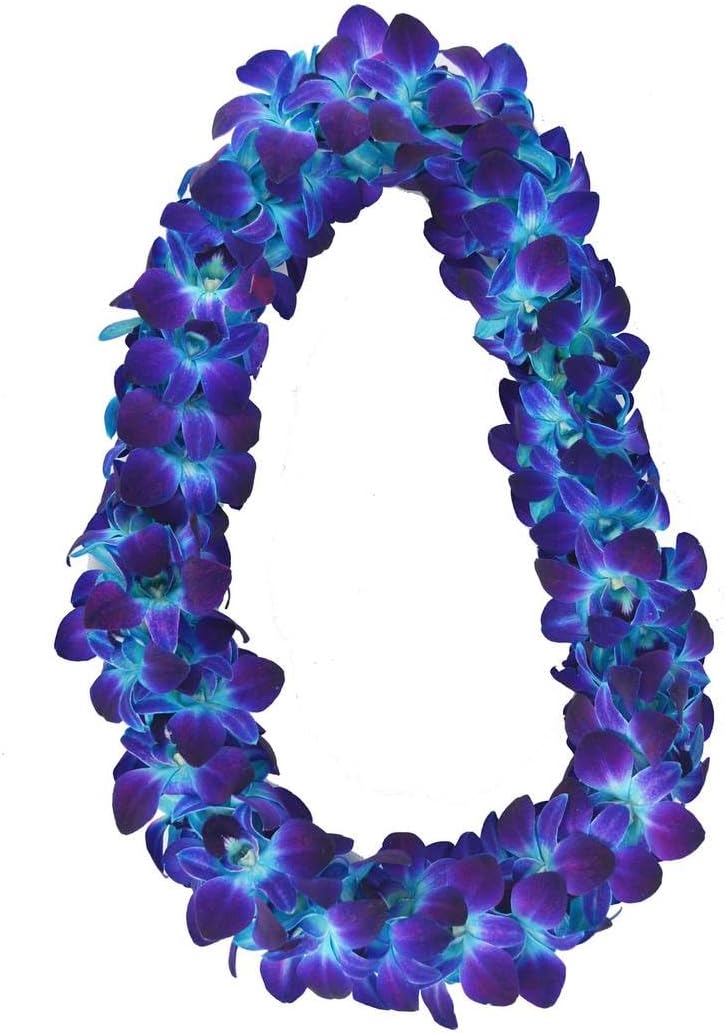 Prebook 100 DUO BLUE Dyed Fresh Cut Dendrobium Orchid Loose Bloom