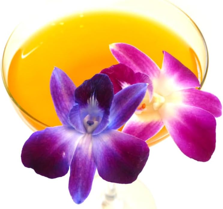 Prebook 100 DUO PURPLE Dyed Fresh Cut Dendrobium Orchid Loose Bloom