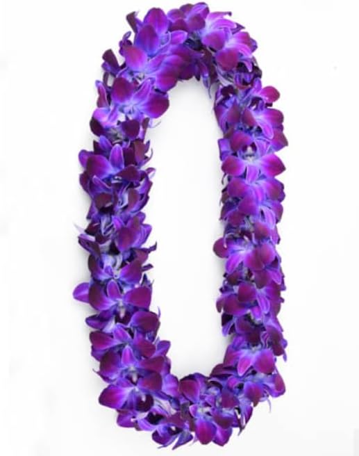 Prebook 100 DUO PURPLE Dyed Fresh Cut Dendrobium Orchid Loose Bloom
