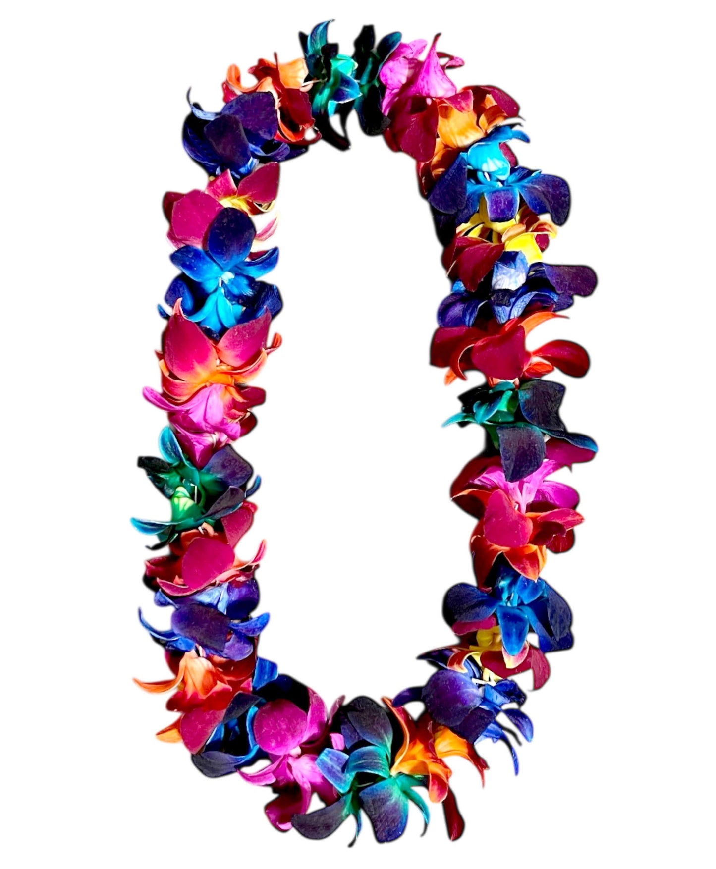 PREBOOK - RAINBOW Multi-Color S-LEI ( SINGLE LEI ) Dendrobium Orchid Fresh Cut Flowers