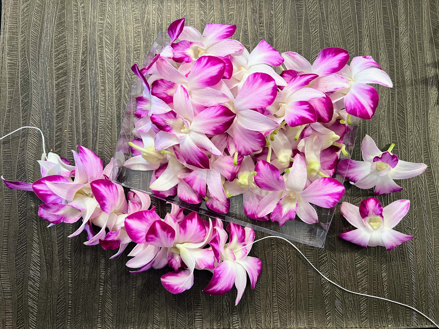 PREBOOK - Queen SNOW SPLASH S-LEI ( SINGLE LEI ) Dendrobium Orchid Fresh Cut Flowers