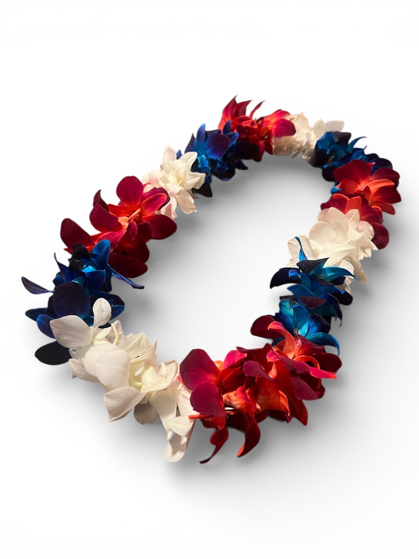 PREBOOK - U.S.A PATRIOTIC Red White & Blue S-LEI ( SINGLE LEI ) Dendrobium Orchid Fresh Cut Flowers