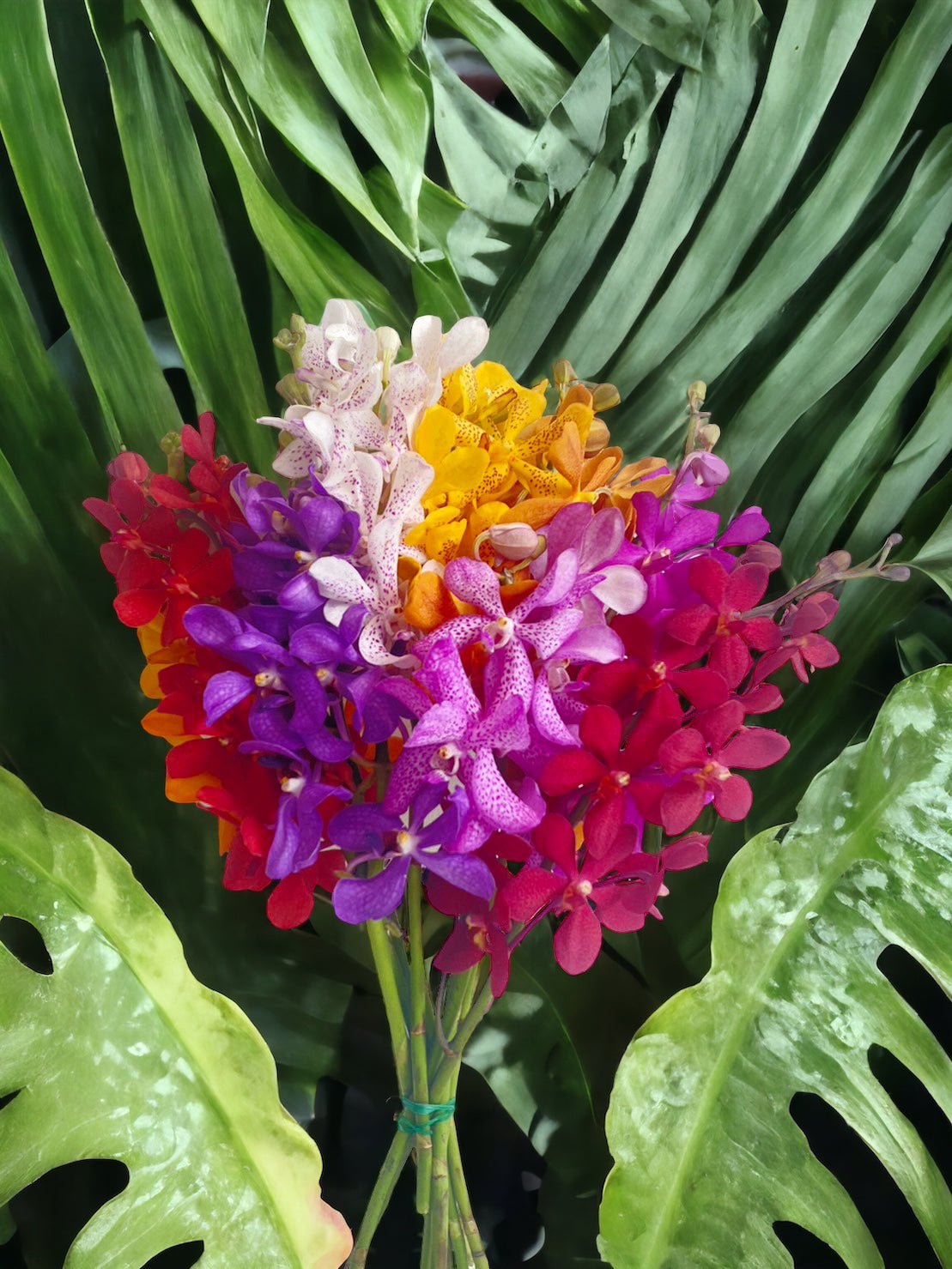 Prebook Exotic Bouquet Fresh Cut MOKARA Orchid Seasonal Farm's Choice