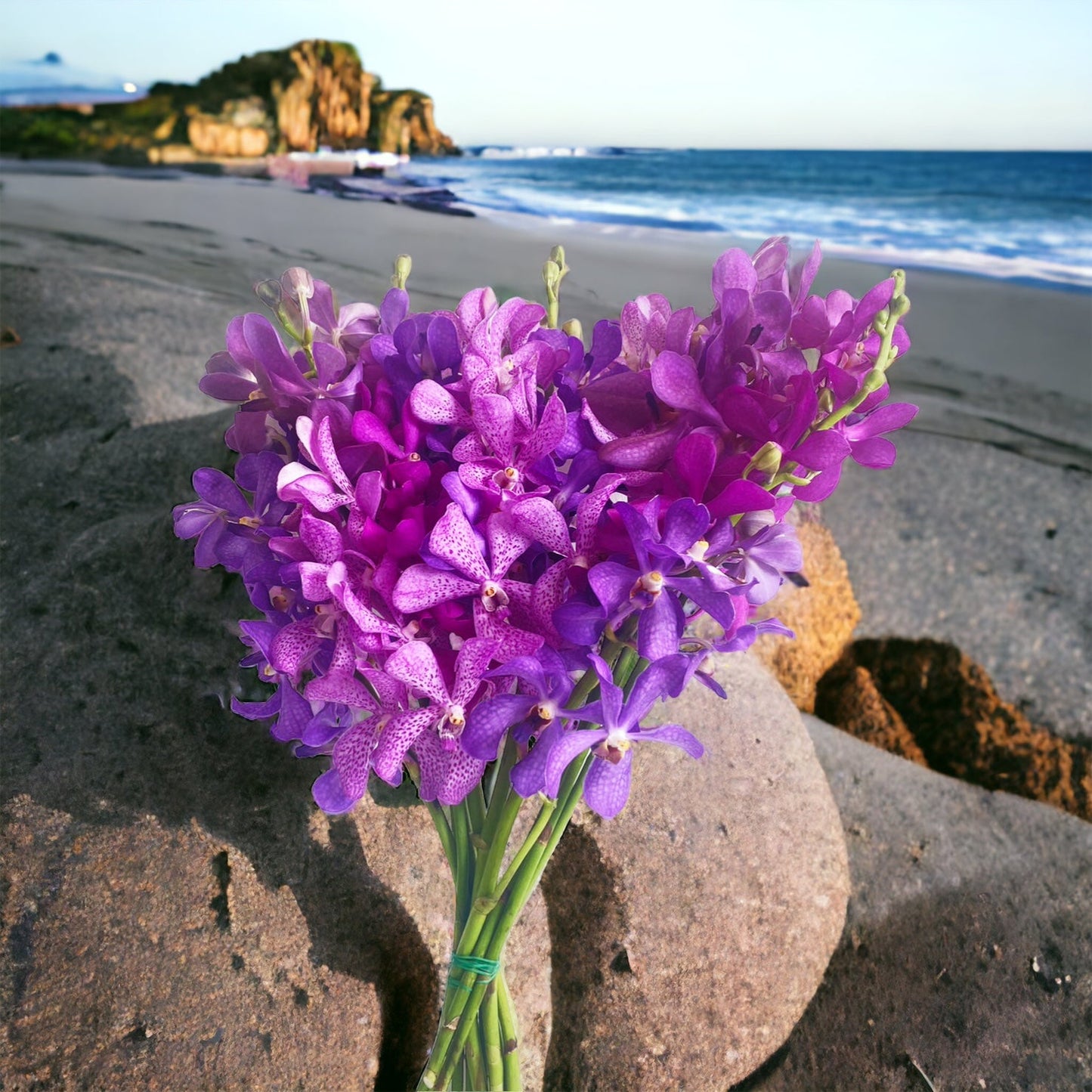 Prebook Purple Bouquet Fresh Cut MOKARA Orchid Seasonal Farm's Choice