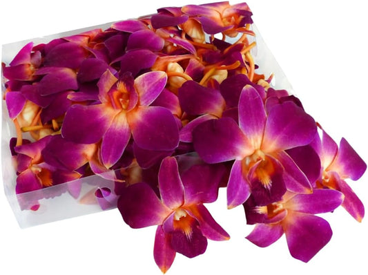 IN STOCK - 100 Orange Fresh Cut Dendrobium Orchid Loose Bloom