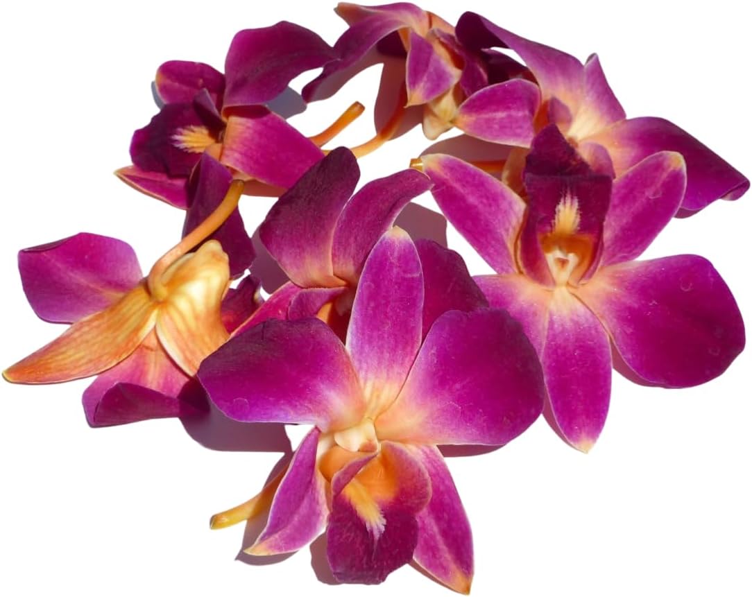 IN STOCK - 100 Orange Fresh Cut Dendrobium Orchid Loose Bloom