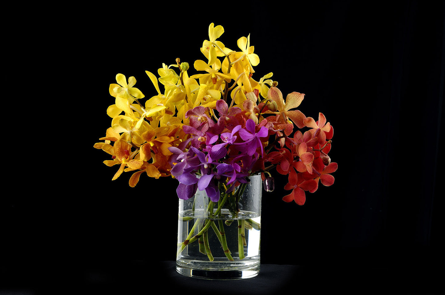 Prebook Exotic Bouquet Fresh Cut MOKARA Orchid Seasonal Farm's Choice