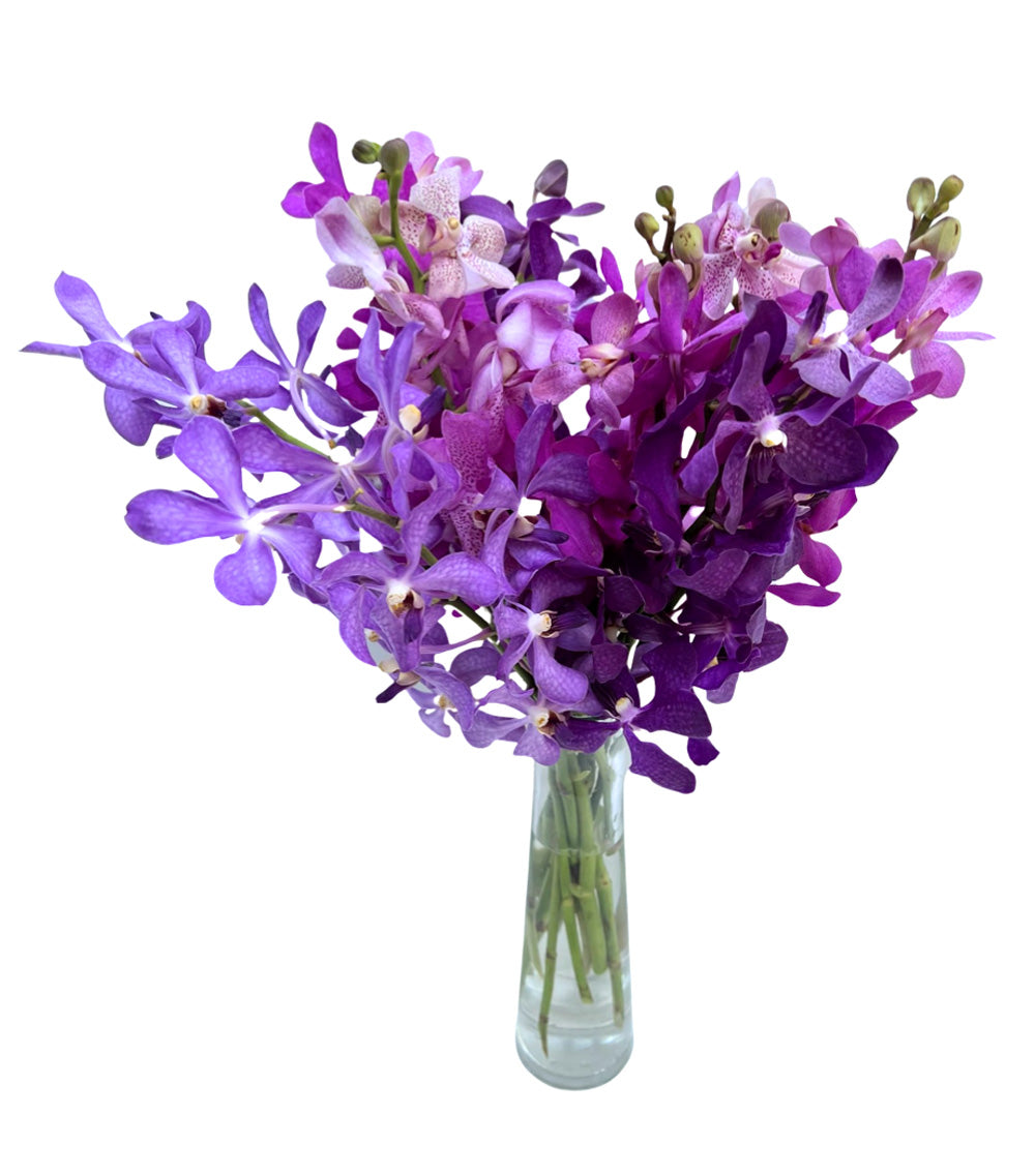 Prebook Purple Bouquet Fresh Cut MOKARA Orchid Seasonal Farm's Choice
