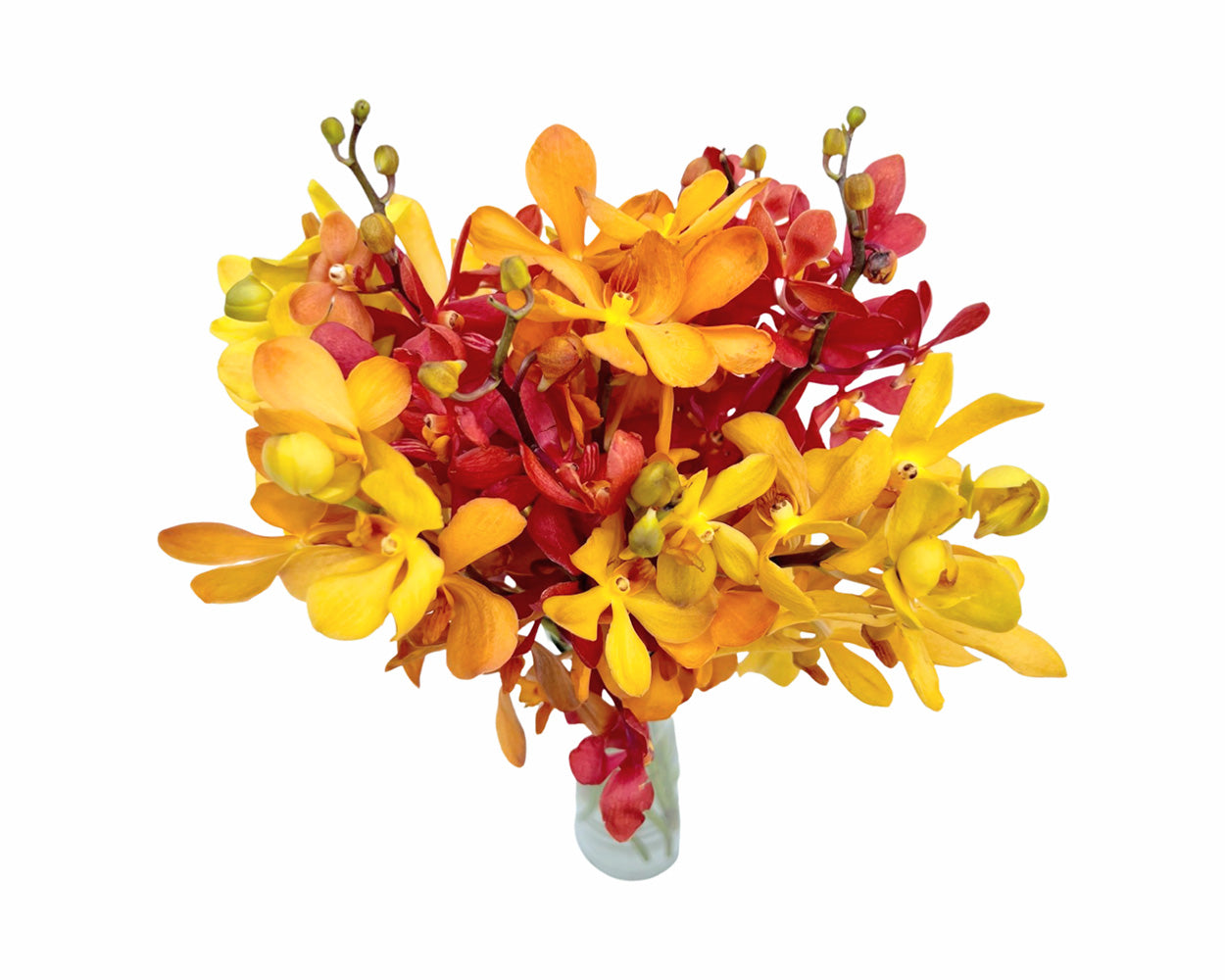 Prebook Sunrise Bouquet Fresh Cut MOKARA Orchid Seasonal Farm's Choice