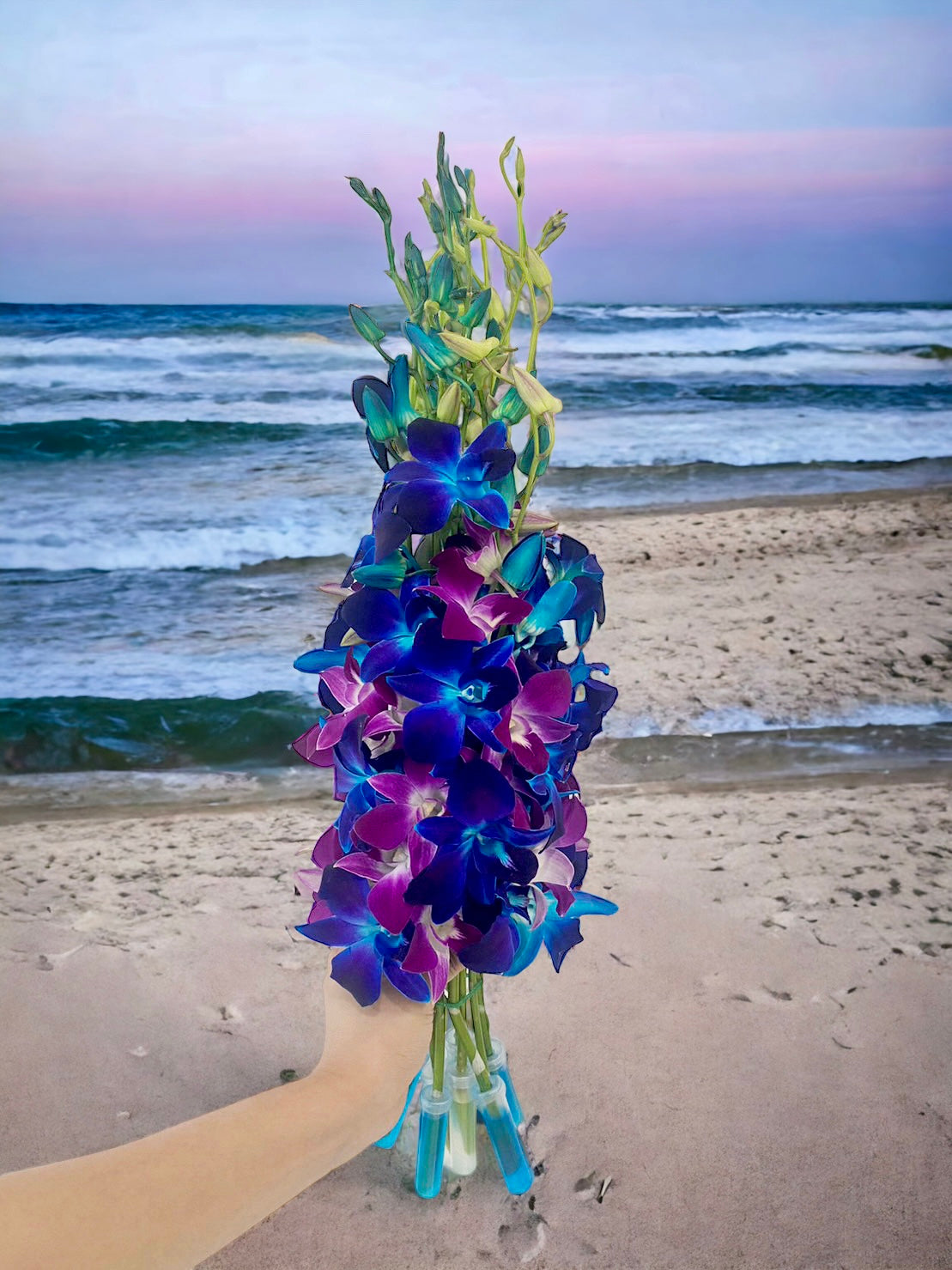 Prebook 20 Stems BLUE-PURPLE Fresh Cut Dendrobium Orchid Bouquet