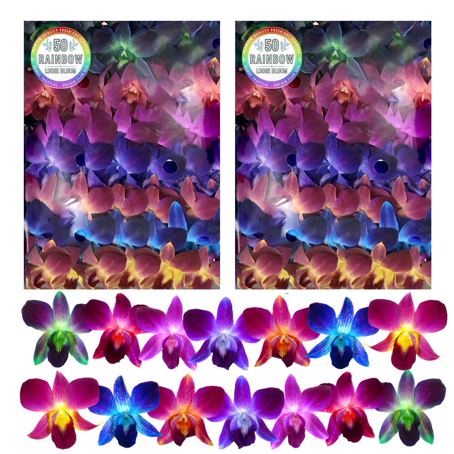 100 Rainbow Orchid Loose Bloom Subscription Fresh Cut Flowers