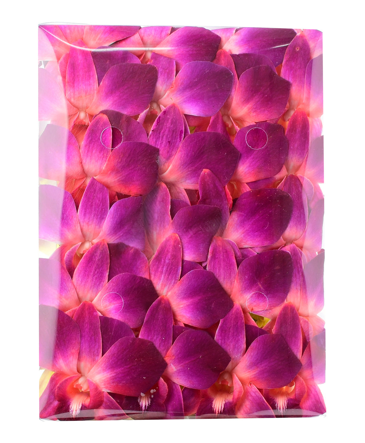 Prebook 100 DUO RED Dyed Fresh Cut Dendrobium Orchid Loose Bloom