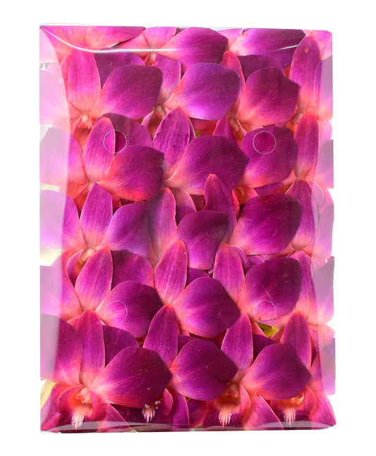 Prebook 100 Red DYED Orchid Fresh Cut Flowers Loose Bloom Orchid Dendrobium