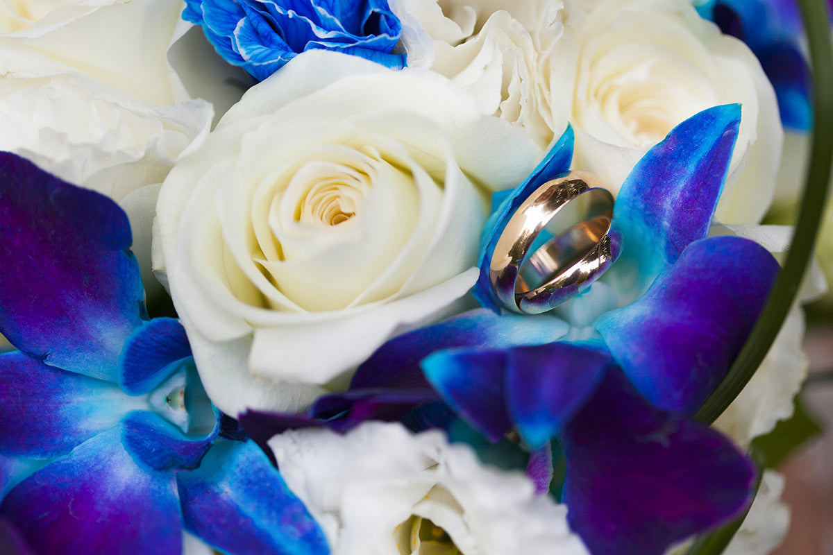 Prebook 1000 Blue Sonia Fresh Cut Dendrobium Orchid Loose Bloom