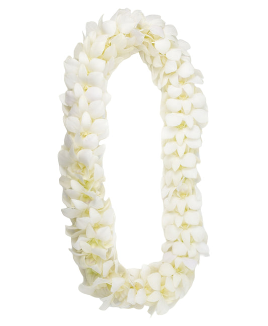 PREBOOK - White D-LEI ( DOUBLE LEI ) Dendrobium Orchid Fresh Flowers