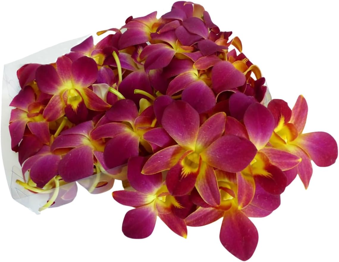 Prebook 100 DUO YELLOW Dyed Fresh Cut Dendrobium Orchid Loose Bloom